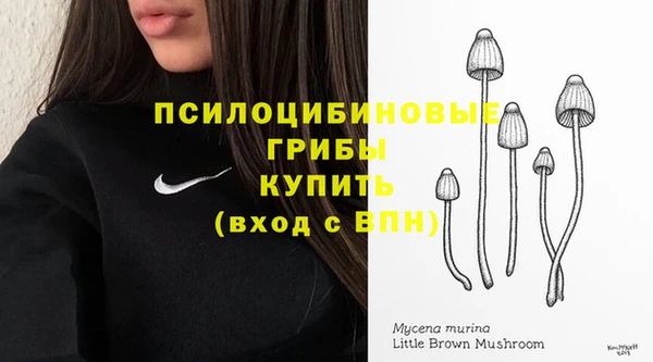 молекула духа Киреевск