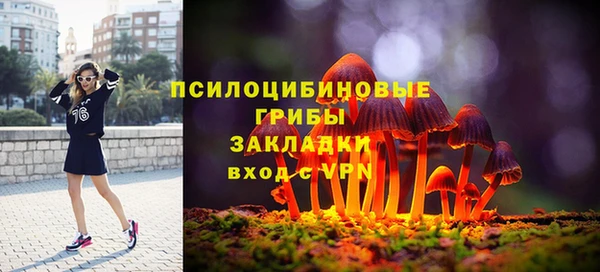 молекула духа Киреевск